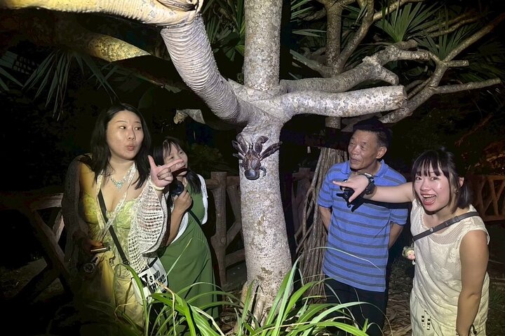 Okinawa Miyako Jungle&Starry Sky Tour Kostenlose Abholung und Rückgabe
