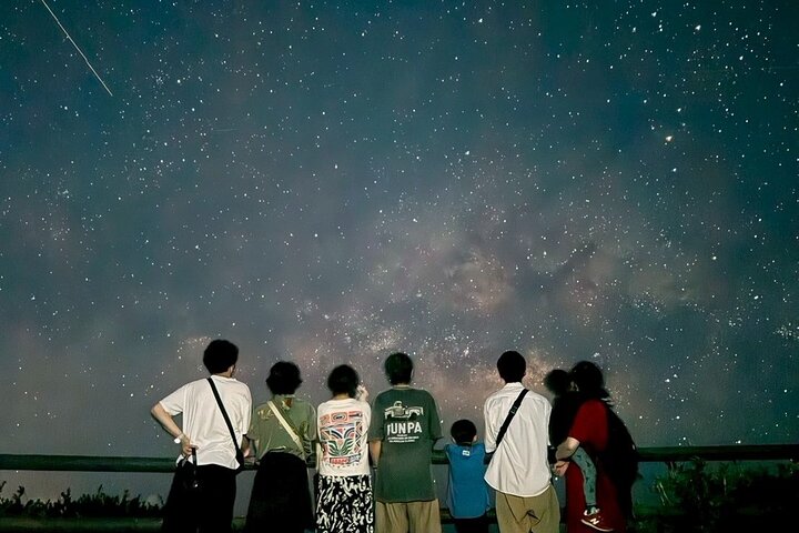 Okinawa Miyako Jungle&Starry Sky Tour Kostenlose Abholung und Rückgabe