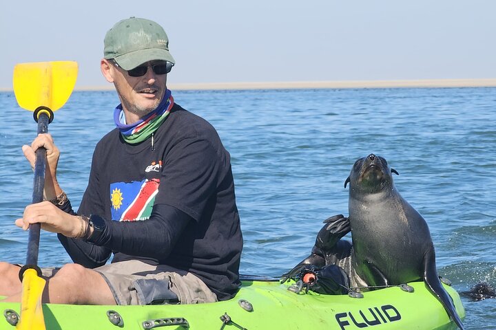 Seal Kayaking and Sandwich Harbour Tour