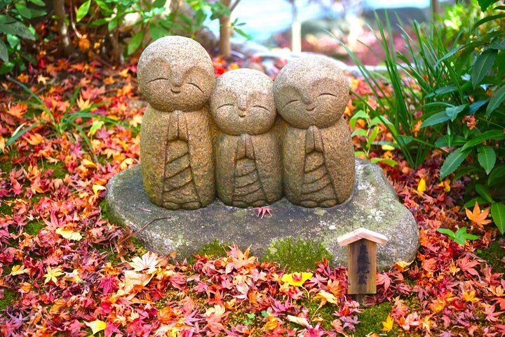 Kamakura Private Tour: Templer, natur og den store Buddha