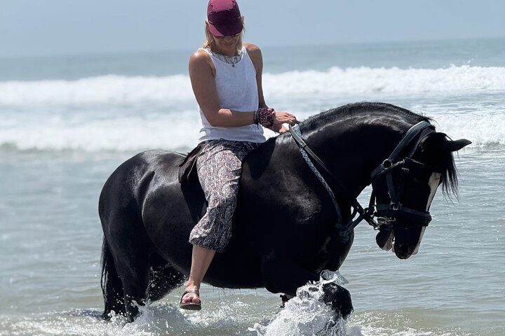 Paseos a caballo en Essaouira - Essaouira HorseRiding