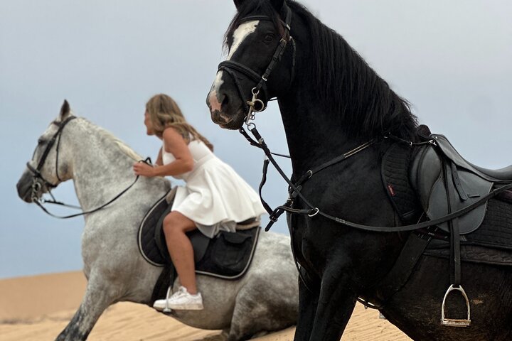 Paseos a caballo en Essaouira - Essaouira HorseRiding
