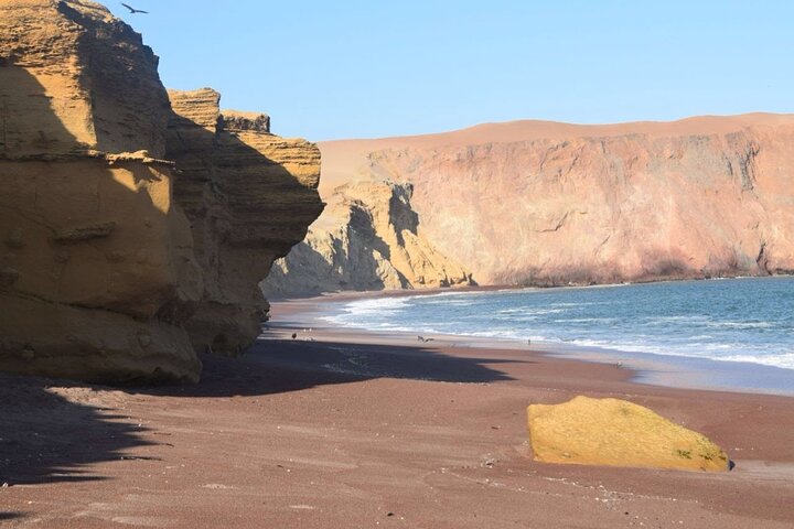 Circuit dans la réserve nationale de Paracas - Halte panoramique à votre rythme