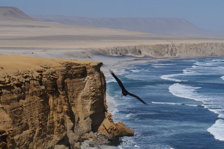 Circuit dans la réserve nationale de Paracas - Halte panoramique à votre rythme