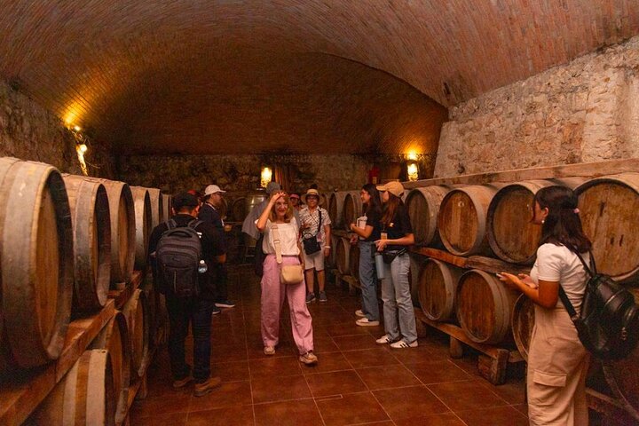 Visite du site archéologique d'Edzná + Rum