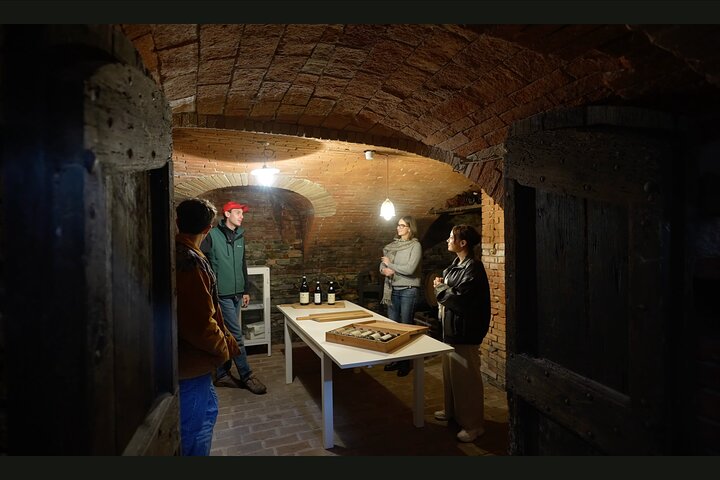 Proef Barolo en Barbaresco met een Sommelier. Wijntour door Piemonte