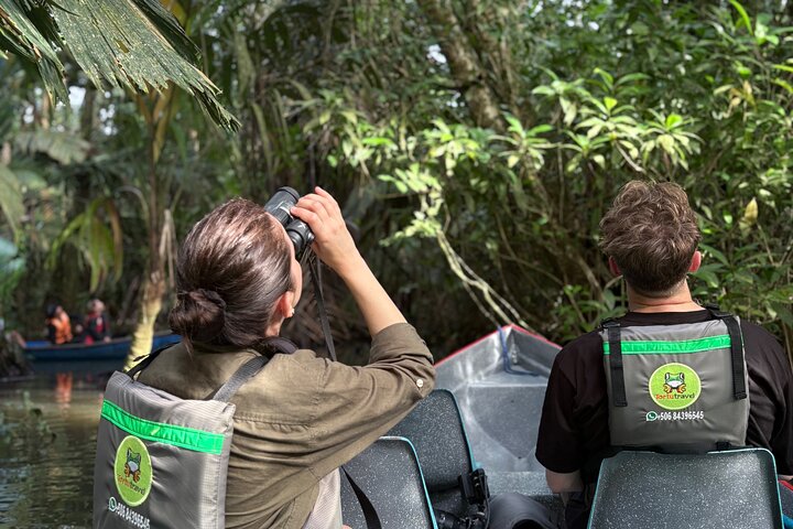 Experiência de canoa e aventura noturna em Tortuguero