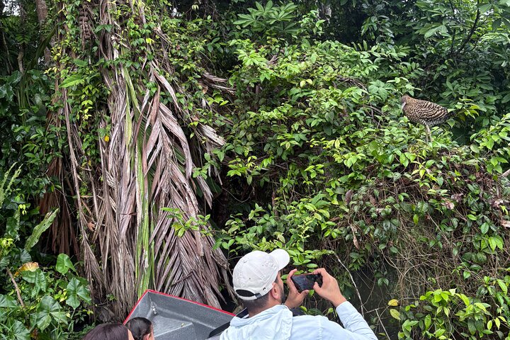 Experiência de canoa e aventura noturna em Tortuguero