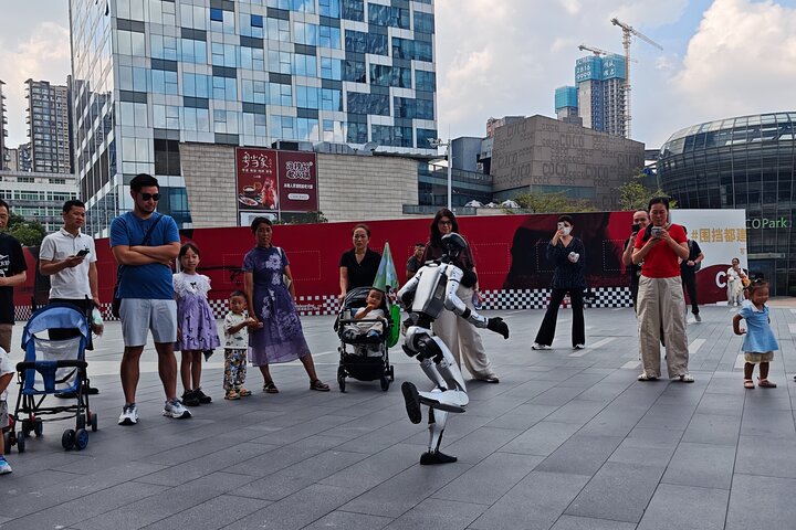 Visite privée d'une journée à Shenzhen avec service de voiture Tech + Culture + Shopping