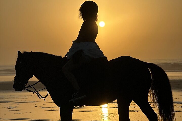 Paseos a caballo en Essaouira - Essaouira HorseRiding