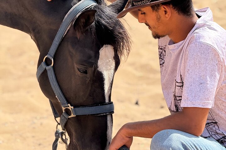 Paseos a caballo en Essaouira - Essaouira HorseRiding
