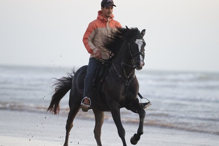 Paseos a caballo en Essaouira - Essaouira HorseRiding