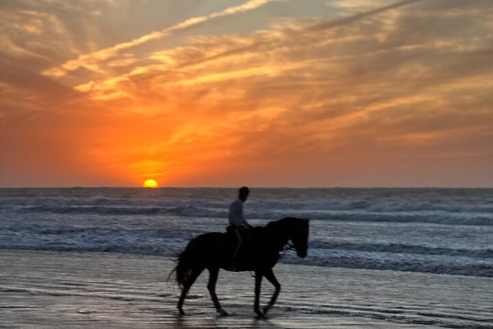 Paseos a caballo en Essaouira - Essaouira HorseRiding