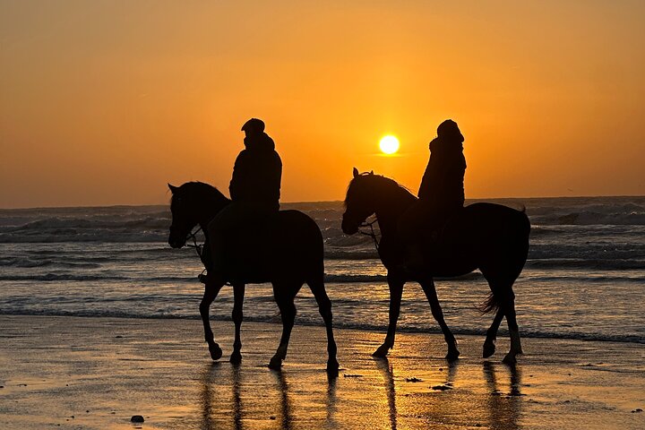Paseos a caballo en Essaouira - Essaouira HorseRiding