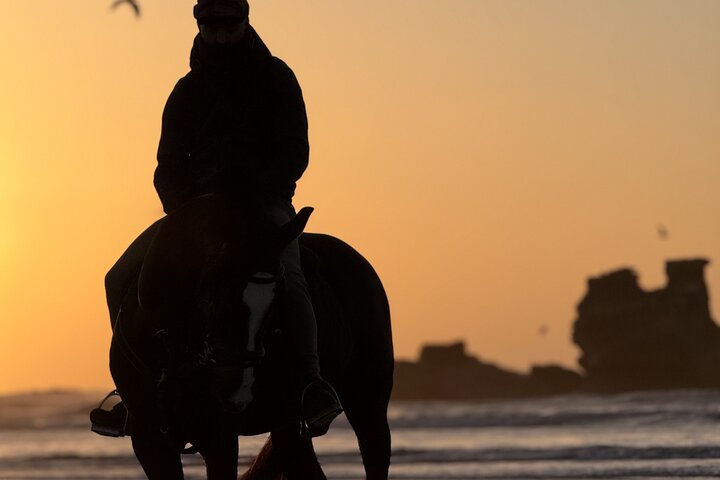 Paseos a caballo en Essaouira - Essaouira HorseRiding