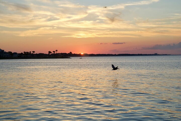 3-stündige Abendkreuzfahrt auf der Solaris Yacht in Miramar Beach