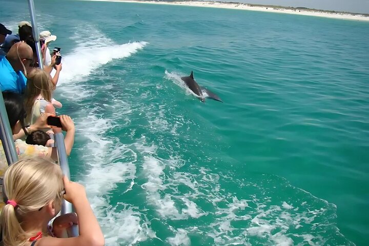 Hoteller i nærheden af Pensacola Beach Dolphin and Scenic Tour