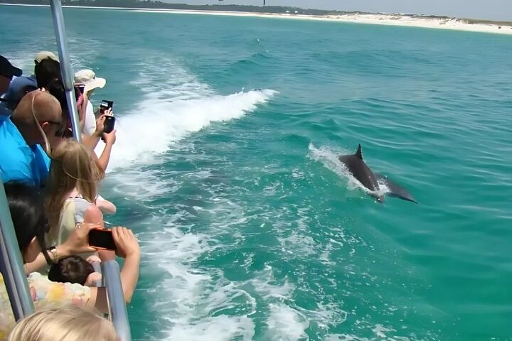 Hoteller i nærheden af Pensacola Beach Dolphin and Scenic Tour