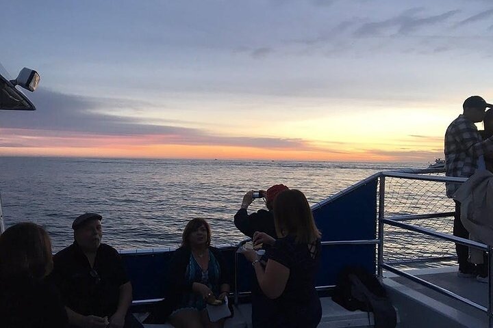 Crucero nocturno por el puerto de Orange Cata de vinos panorámica