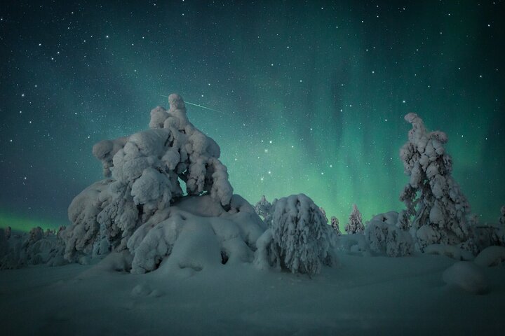 Aurora Borealis Experience Night Edition