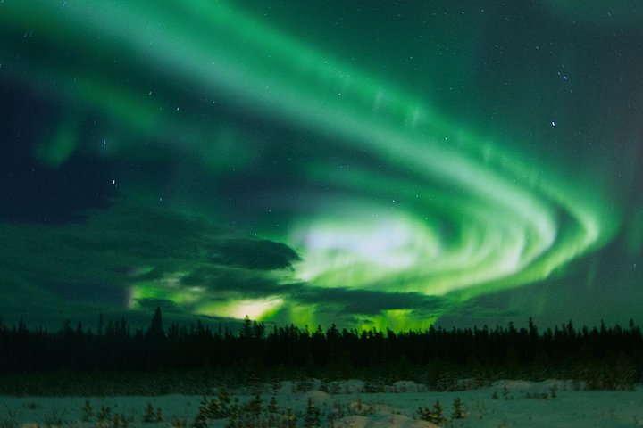 Aurora Borealis Experience Night Edition