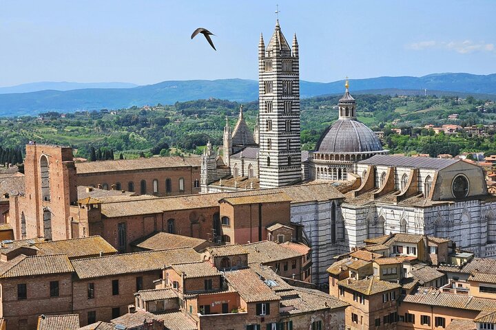 San Gimignano, Siena, Monteriggioni : Tour totalmente acompañado, almuerzo y cata de vinos