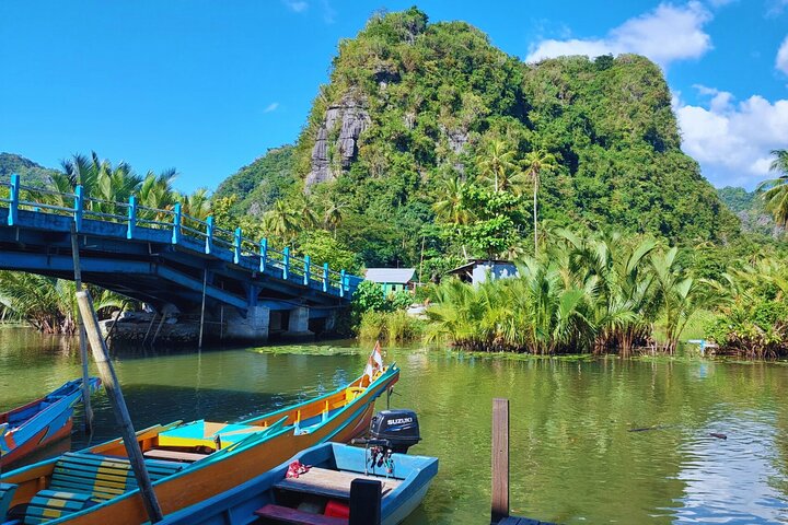 Excursion d'une journée au parc préhistorique de Leang-Leang et au karst de Rammang-Rammang