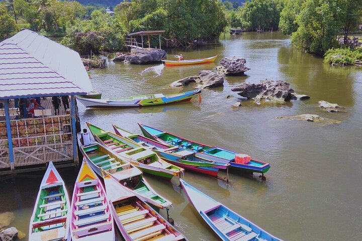Excursion d'une journée au parc préhistorique de Leang-Leang et au karst de Rammang-Rammang