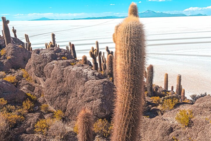 3 - Day Uyuni Salt Flats och laguner till San Pedro de Atacama