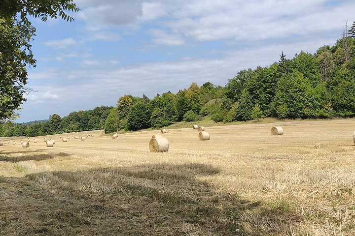 Geheimnisse des Mährischen Karsts eine sechsstündige maßgeschneiderte Tour