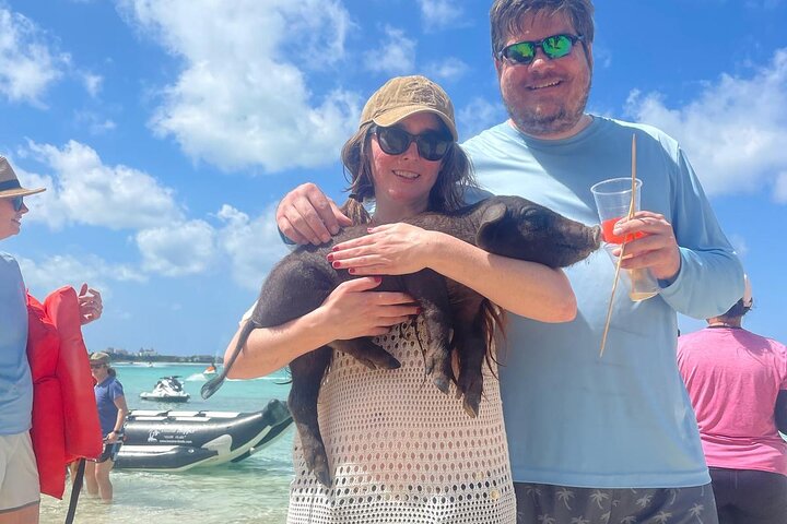 4 Std. Private Tour Insel Hop Schnorchel w / Schildkröten & Schluck Bahama Mamas