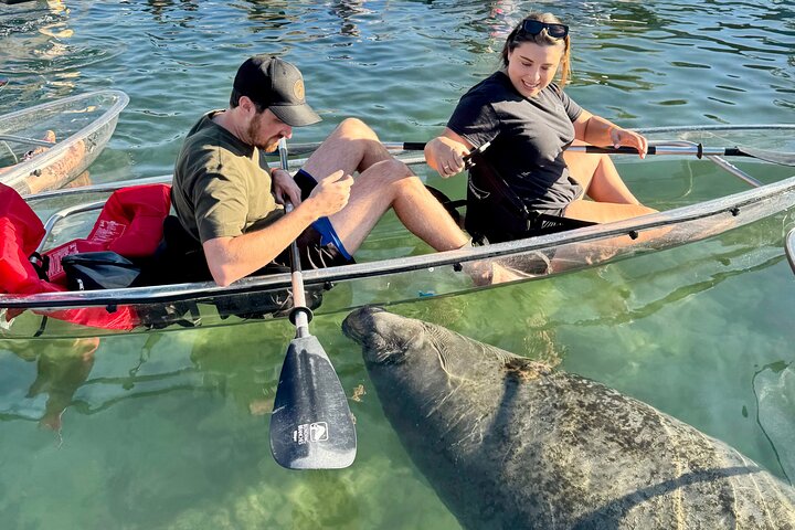 Restauranter i nærheten av Crystal River: Three Sisters Manatee Clear Kayak Tour