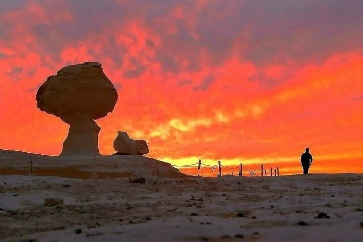 2 - Dag Bahariya Oasis Witte en Zwarte Overnachting Camping Jeep Tour
