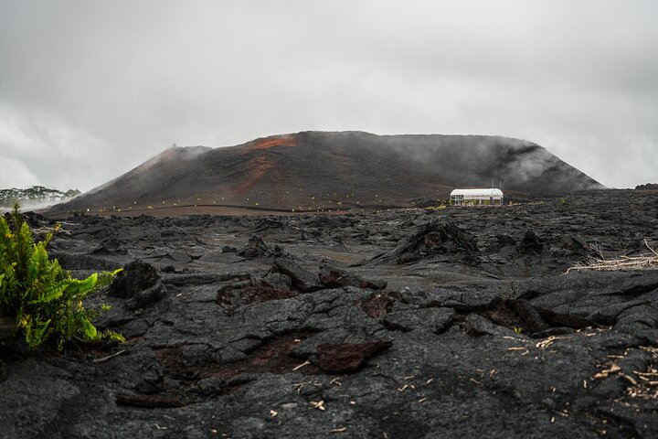 Excursión en tierra de Hilo : Volcán Safari Cuevas de lava & Arena Negra