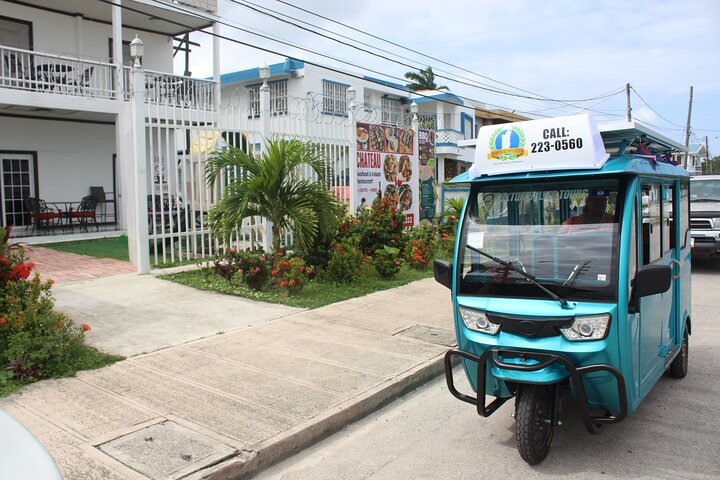 Belize City All Inclusive Tour voor cruiseschipreizigers