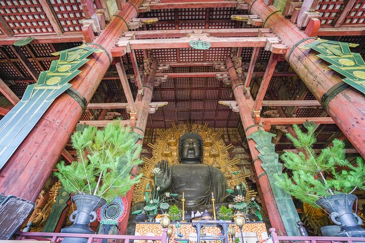 Tour a piedi di mezza giornata a Nara (opzione privata disponibile)