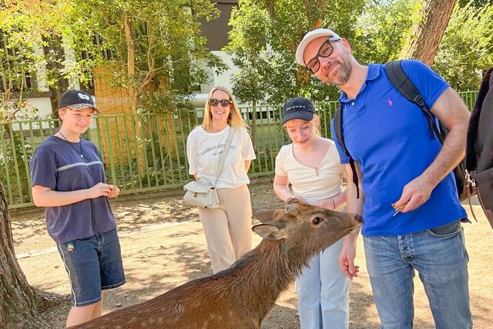Tour a piedi di mezza giornata a Nara (opzione privata disponibile)