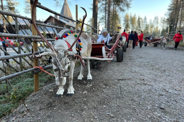 Villaggio di Babbo Natale con renne e Husky