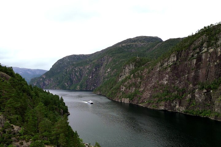 Halvdagsfjordkryssning från Bergen till Mostraumen