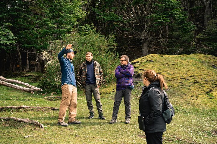 Tierra del Fuego National Park – Små grupper. Valgfrit tog