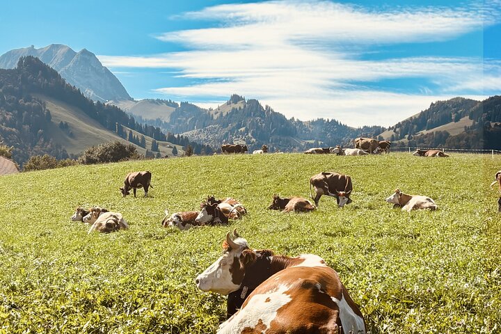 GRUYÈRE-OSTURAN & CHOKOLADETOUREN från Genève