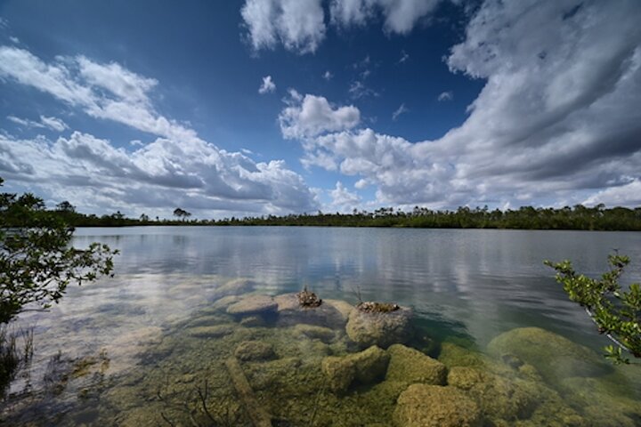 Tour di guida autonoma del Parco nazionale delle Everglades Audio/GPS