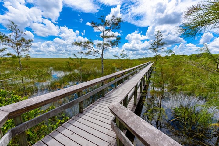 Tour di guida autonoma del Parco nazionale delle Everglades Audio/GPS