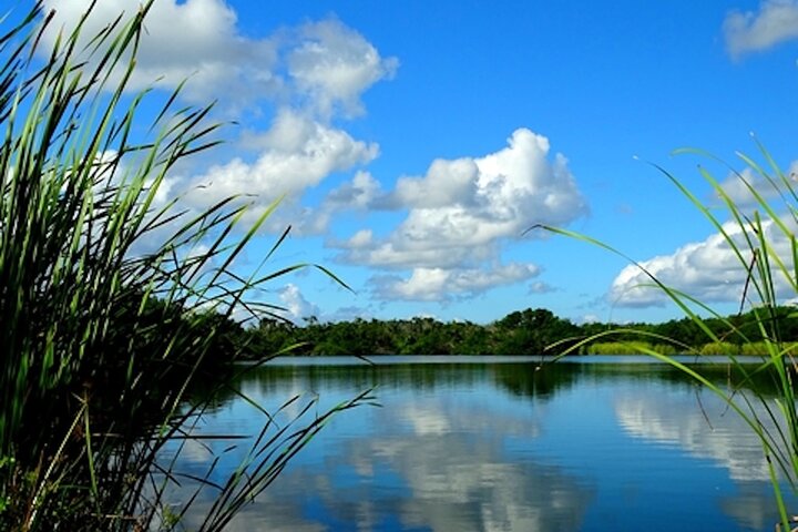 Tour di guida autonoma del Parco nazionale delle Everglades Audio/GPS