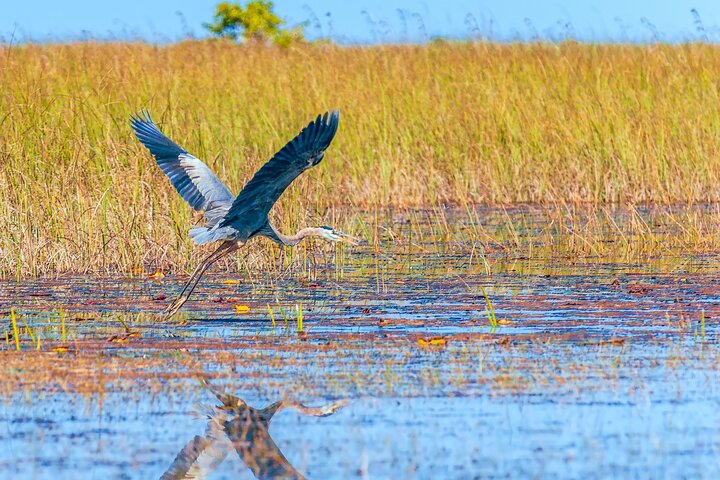 Tour di guida autonoma del Parco nazionale delle Everglades Audio/GPS