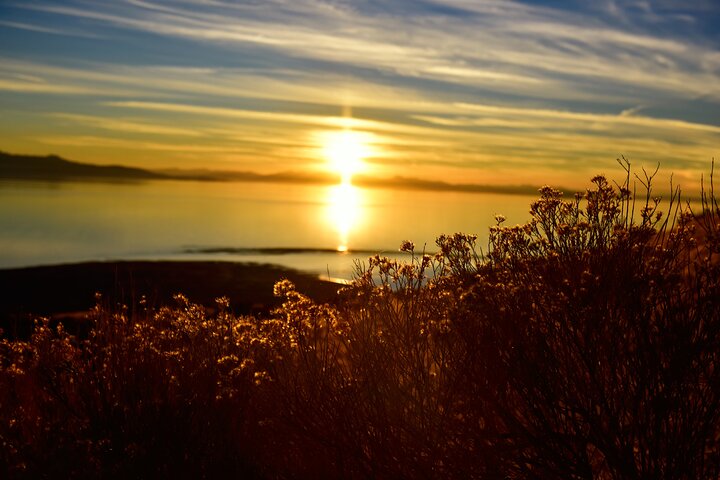 Restauranter i nærheten av Antelope Island Sunset Wildlife Expedition