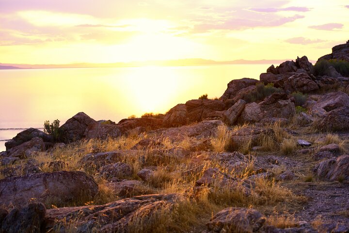 Restauranter i nærheten av Antelope Island Sunset Wildlife Expedition
