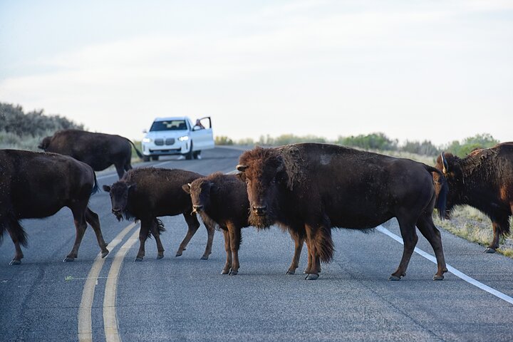 Restauranter i nærheten av Antelope Island Sunset Wildlife Expedition
