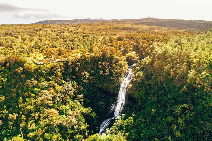 Tour panorámico y cultural por Mauricio del Sur