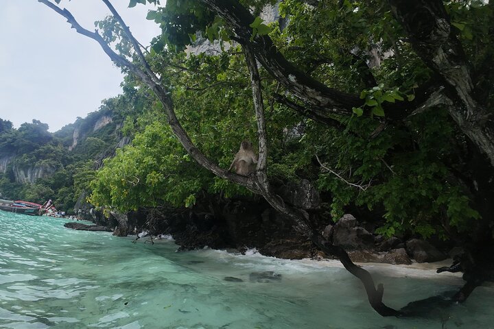 Il meglio del tour avventuroso di un giorno a Phi Phi Island con pranzo da Phuket